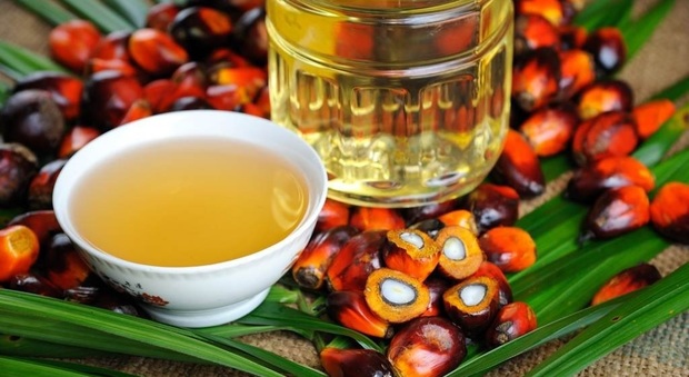 L'olio di palma è davvero nocivo? L'importante è non abusarne