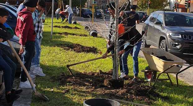 Piantati a Latina al parco San Marco e in piazza Ilaria Alpi i primi cento alberi donati dalla comunità Sikh