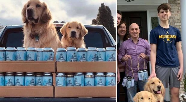 Coronavirus, i cani consegnano la birra a domicilio: «Così manteniamo il distanziamento dai clienti»