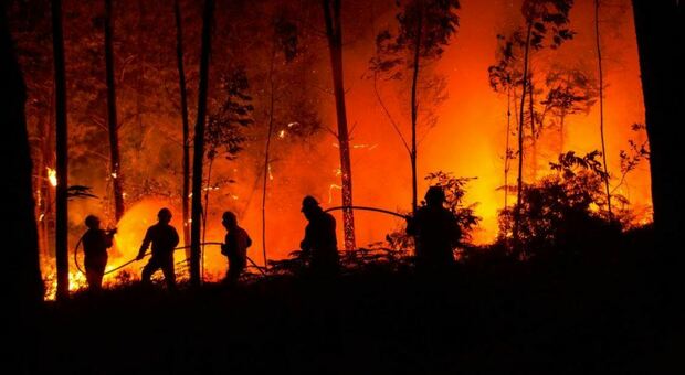 Grecia incendio in Geraneia brucia oltre 55 chilometri quadrati di pinete