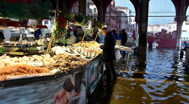 Acqua alta a Venezia: marea tocca 89 centimetri, nuova massima stasera