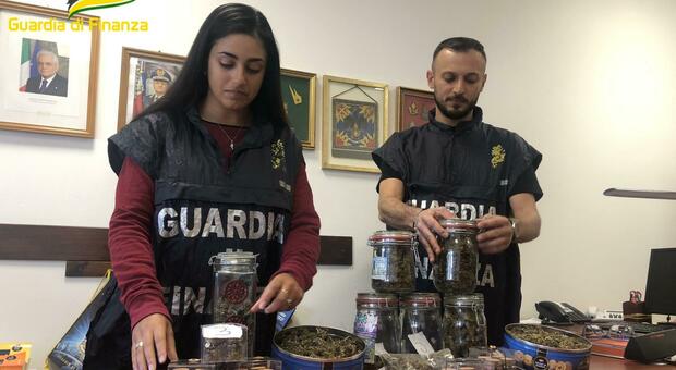 La droga sequestrata dai finanzieri a Rovigo in una tabaccheria e a casa del titolare