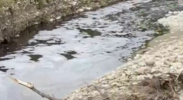 Inquinamento nel fiume Esino: il Wwf lancia l’allarme rosso