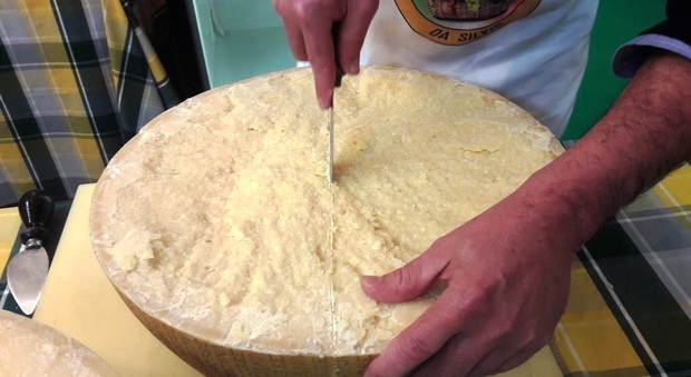 Non solo Parmigiano: il formaggio Vacche Rosse ritrova sapori antichi