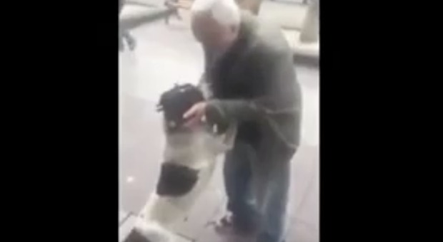 Padrone ritrova il cane a tre anni dalla scomparsa, il video del loro incontro è un inno all'amore puro