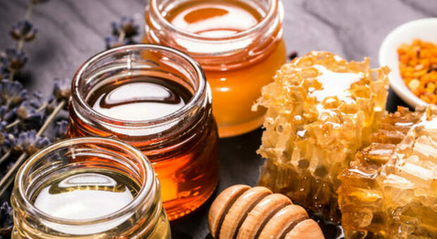 Crolla la produzione di miele: fino al 95 per cento in meno