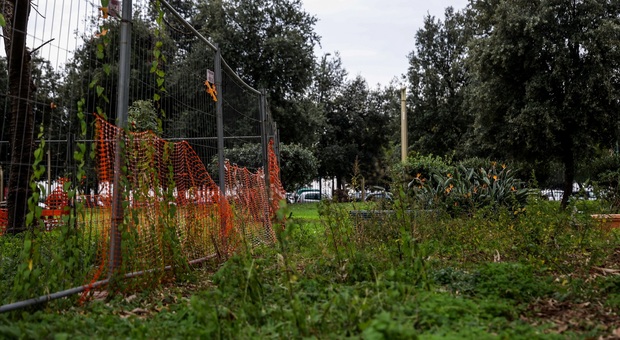 Napoli, gli ex disoccupati in campo per l'ambiente: «Più cura e pulizia per i parchi»