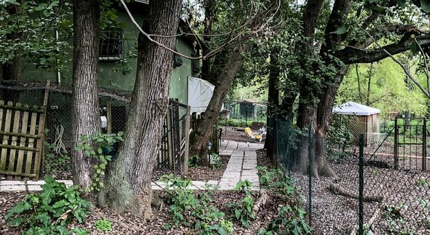 Roma, a Villa Ada cibo scaduto e degrado: stop del Comune al cimitero illegale di animali