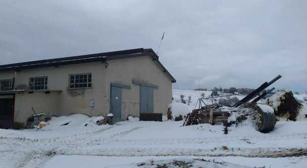 Emergenza neve in Irpinia: scuole chiuse e automobilisti bloccati