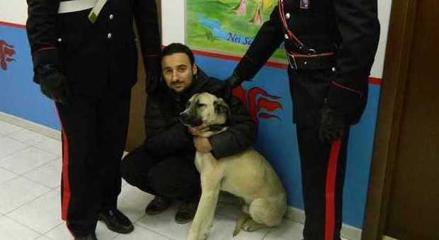 Il cane rapito e il padrone con i carabinieri di Sant'Angelo Romano