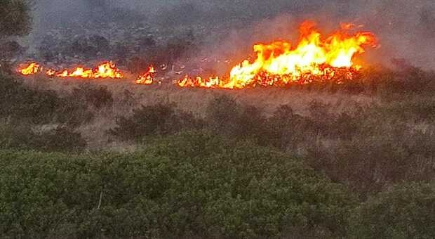 Incendio, distrutti 30 ettari di pineta tra Ginosa e Laterza