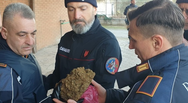 La droga sequestrata ai Castelli dalla Polizia Locale e dai carabinieri