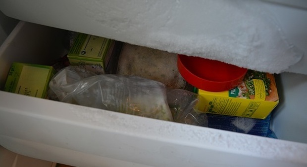 Ladri "affamati" rubano 2 freezer pieni zeppi di alimenti congelati