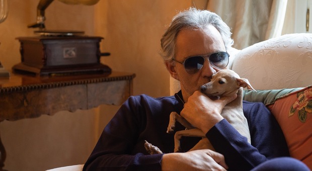 Andrea Bocelli ha perso il suo cagnolino: «Aiutatemi a ritrovare Pallina». L'appello sui social