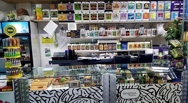 Cannabis light, Salvini: «Chiuderò tutti i negozi». Il ministro Grillo: non vendono droga