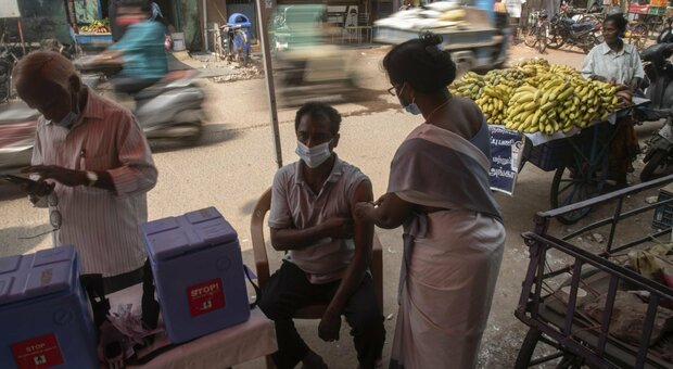 immagine ZyCoV-D, il vaccino contro il coronavirus che si somministra senza ago