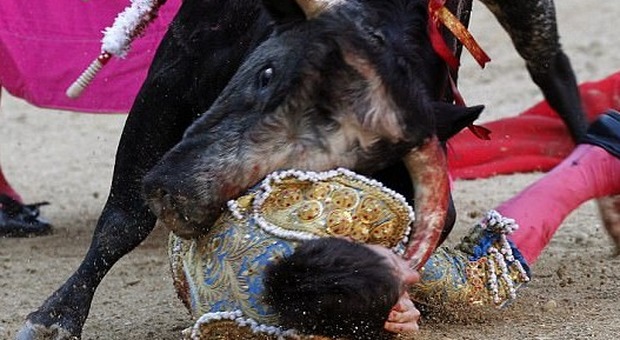 Spagna, torero gravissimo: incornato al collo da un toro infuriato