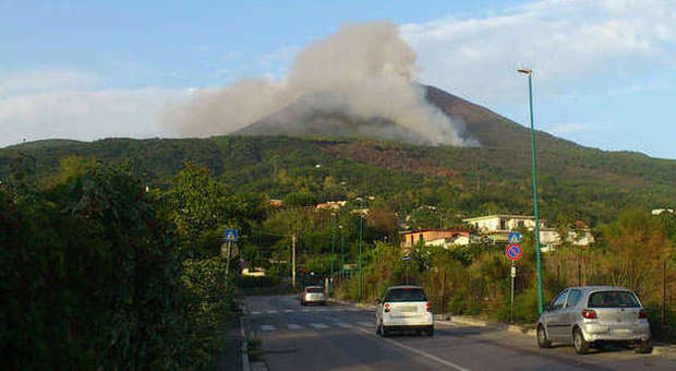 Vesuvio, rogo nell'area protetta: distrutti oltre 10 ettari di macchia mediterranea | Foto