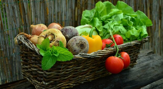 Boom di alimenti a base vegetale: li usano 10 milioni di famiglie in Italia