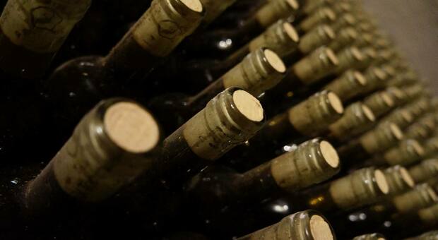 Amarone Costasera, maxi furto a Verona: sparite 9mila bottiglie di vino, valore 315 mila euro