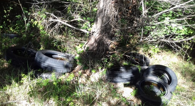 Grottammare, discarica abusiva: 45 vecchi pneumatici nel bosco
