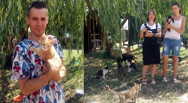 Foligno, cresce il numero dei gatti abbandonati a Ferragosto