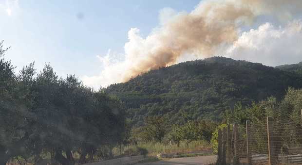 Ferragosto di fuoco in Irpinia, boschi devastati ad Avella