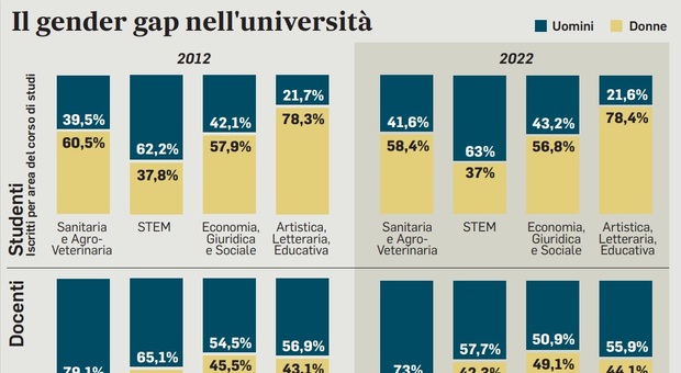 Università, vince il gender gap: 73% di prof uomini. Nelle facoltà scientifiche ancora poche studentesse
