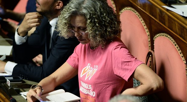 immagine Cirinnà con maglietta rosa pro famiglie gay al Senato