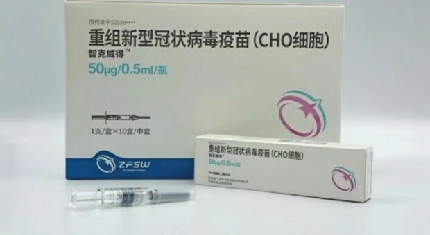 Svolta dalla Cina, arriva il vaccino Zhifei: «Con tre dosi blocca tutte le varianti, Delta compresa»