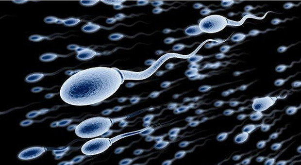 Oltre 600 bambini figli di soli 3 donatori di sperma (imparentati tra loro), le mamme: «Hanno una malattia genetica, siamo inorridite»