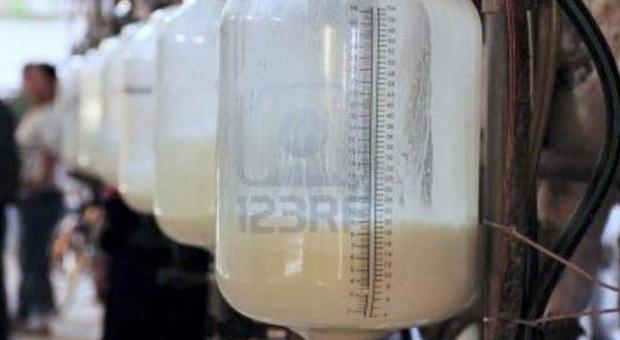 Boccata d’ossigeno per i produttori di latte, prezzo assestato a 37 cent