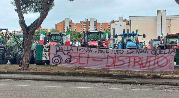 Pesaro, gli agricoltori sono di nuovo in marcia, ma questa volta a piedi e fino in piazza