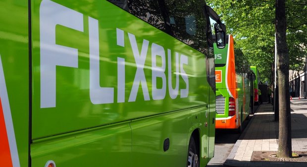 FlixBus, boom a Napoli ma è guerra al low cost