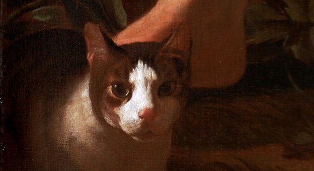 Giornata internazionale del gatto: su Twitter gara di opere d'arte dedicate ai mici da parte dei musei italiani