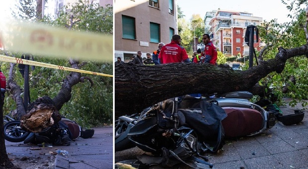 Cade albero, donna morta a Roma Monteverde in via di Donna Olimpia. Raffiche di vento sino a 70 km/h