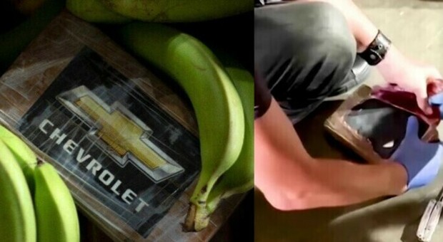 Sequestrate 9,5 tonnellate di cocaina nascosta tra le banane: è il più grande sequestro mai avvenuto nel Paese