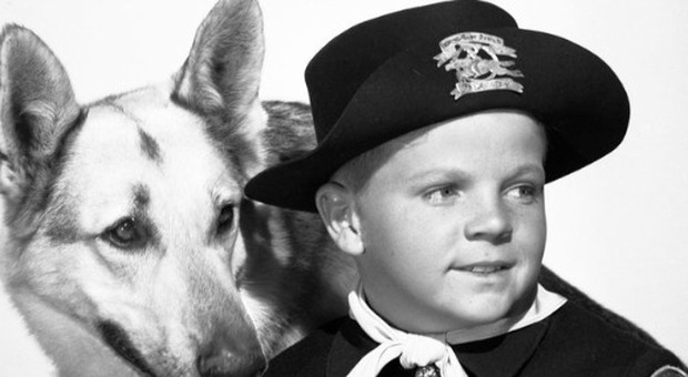 Lee Aaker, morto a 77 anni l'attore baby star di Rin Tin Tin