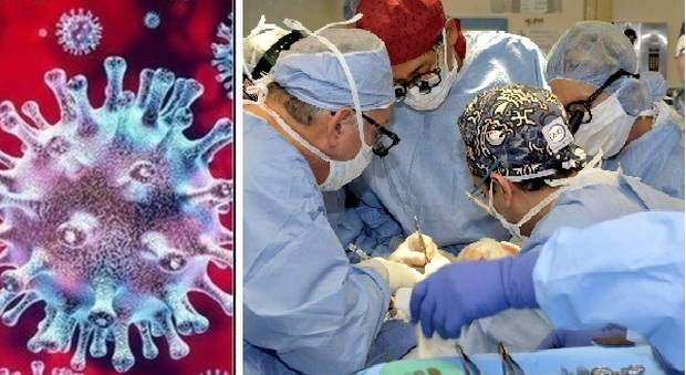 Effetto Covid su visite ed esami, il virus "cancella" le altre malattie: saltati 3 consulti oncologici su 4