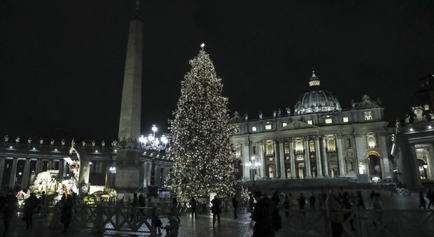 Vaticano, ecco il segreto dei boscaioli polacchi per fare arrivare l'albero di Natale a San Pietro vivo e rigoglioso