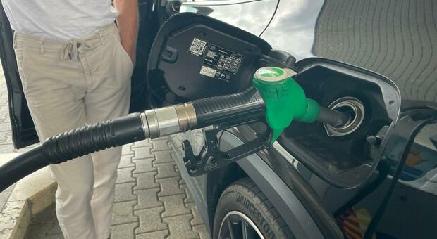 Benzina, prezzi ai massimi da sei mesi. L'allarme Codacons: punte da 2,80 euro al litro. Ecco dove