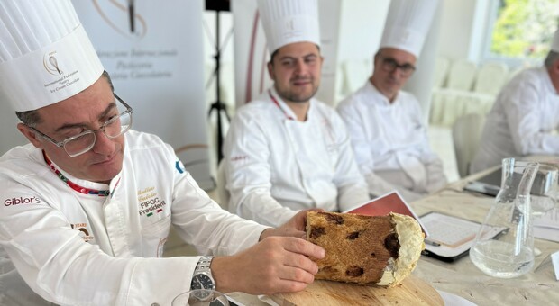 https://statics.cedscdn.it/photos/MED/81/66/8468166_09173831_fipgc_campionati_del_mondo_panettone_2024_1_.jpg