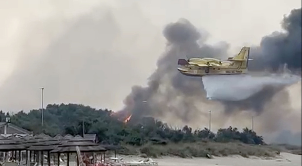 Incendi nel Salento, è caccia ai piromani: droni dei carabinieri per le indagini della procura