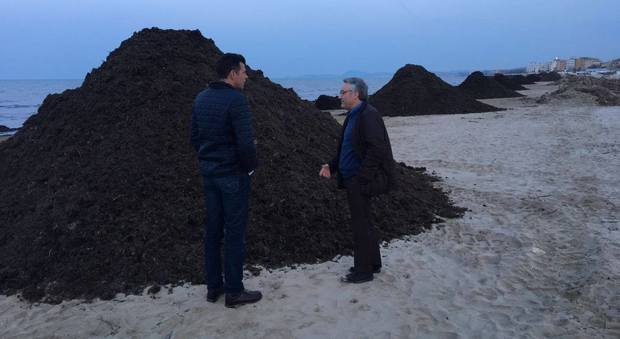 Senigallia, spiaggia piena di detriti Sos del sindaco alla Regione