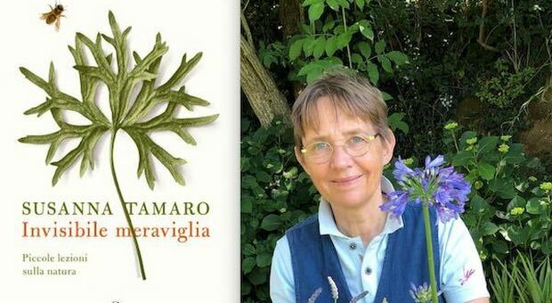 "Invisibile meraviglia. Piccole lezioni sulla natura". In libreria il nuovo libro di Susanna Tamaro