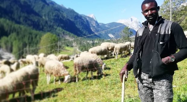Chiede asilo politico, ora fa il pastore: la storia di Abdoullahi, 28 anni, dal Mali alle Dolomiti