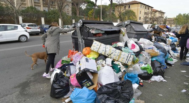Roma, scuole tra i rifiuti: blitz dei Nas tra topi e insetti