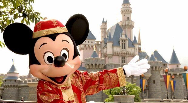 Viaggio a Disneyland Paris venduto online da un'agenzia di viaggio ad un prezzo stracciato ma è una truffa. Tra gli «agenti» una donna di Rovigo