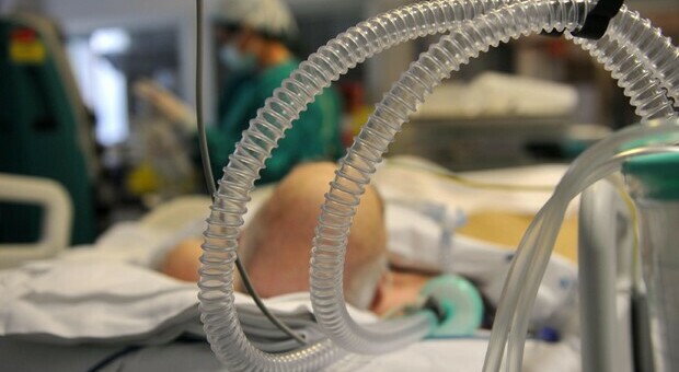 Paura dei ventilatori polmonari in terapia intensiva, così i pazienti Covid muoiono inutilmente