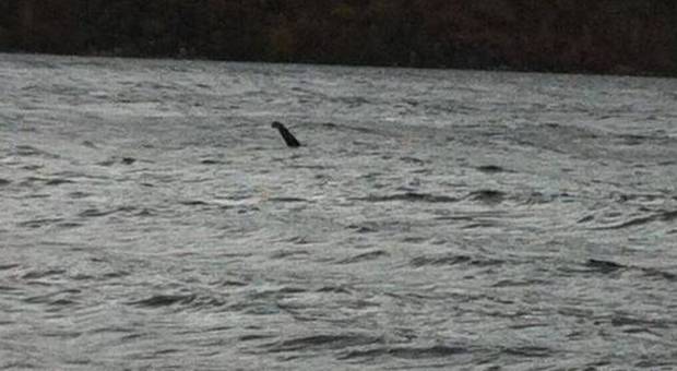 «Ecco il mostro di Loch Ness»: secondo avvistamento in pochi giorni|Guarda